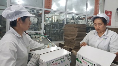 Quý III/2025: Số lao động có việc làm và thu nhập đều tăng so với cùng kỳ