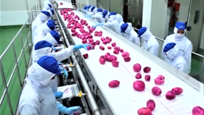 Xuất khẩu nông, lâm, thủy sản 9 tháng đạt hơn 52,3 tỷ USD, tăng 14%
