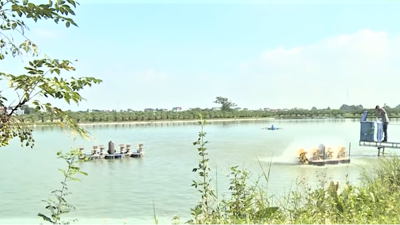 Sản xuất nông, lâm nghiệp và thủy sản chín tháng năm 2025 duy trì ổn định