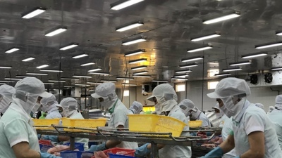 Ngành nông nghiệp Đồng Tháp phát triển chuỗi giá trị cho các sản phẩm chủ lực