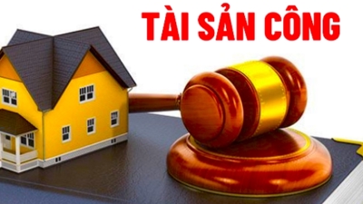 Hoàn thiện nền tảng dữ liệu thống nhất về tài sản công trên phạm vi toàn quốc