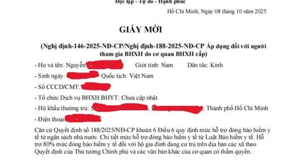 Giả Giấy mời của Giám đốc BHXH TP. Hồ Chí Minh để lừa người dân 