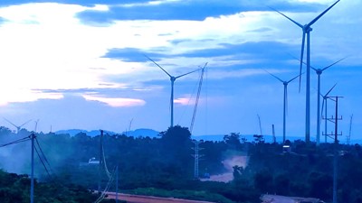 Đắk Lắk tích cực đôn đốc 166 doanh nghiệp nợ thuế 