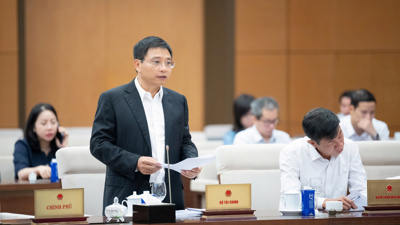 Phân cấp mạnh trong định giá, bình ổn giá: Giảm thủ tục, tăng hiệu quả thực thi