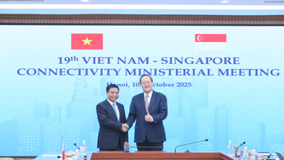 Chùm ảnh: Hội nghị Bộ trưởng về Kết nối kinh tế Việt Nam - Singapore 