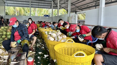 Kết nối phát triển chuỗi sản xuất xuất khẩu nông sản bền vững