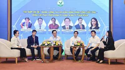 Vĩnh Long định hướng trở thành trung tâm năng lượng tái tạo của Đồng bằng sông Cửu Long