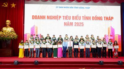 Đồng Tháp: Doanh nghiệp đóng góp nhiều sáng kiến phát triển kinh tế