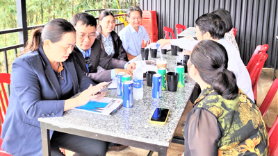 Quảng Ngãi lập bảng kê Tổng điều tra kinh tế 2026 đảm bảo tiến độ, chất lượng