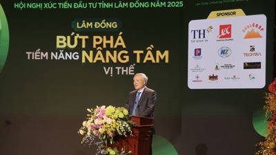 Lâm Đồng: Thu hút mạnh vốn đầu tư, quyết tâm vươn mình