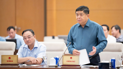 Sửa toàn diện Luật Quy hoạch, tháo gỡ triệt để các điểm nghẽn