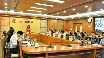 Triển khai xây dựng Luật sửa đổi, bổ sung Luật Thống kê tại các địa phương