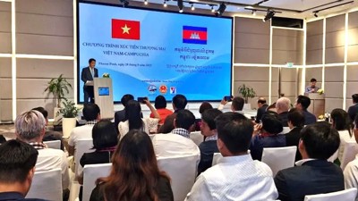 Xúc tiến thương mại, thúc đẩy xuất nhập khẩu miền Nam Việt Nam và Campuchia