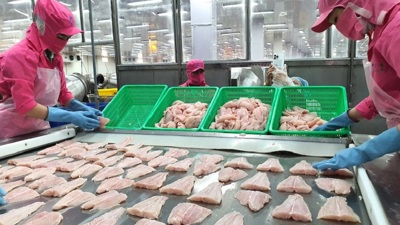 Doanh nghiệp thủy sản chuyển hướng xuất khẩu sang thị trường ngách