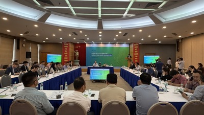 Hiến kế hoàn thiện chính sách tài chính cho ngành công nghiệp khoáng sản