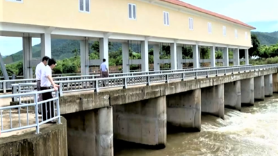 Hải Phòng đầu tư hơn 800 tỷ đồng nâng cấp hệ thống đê điều sau sáp nhập