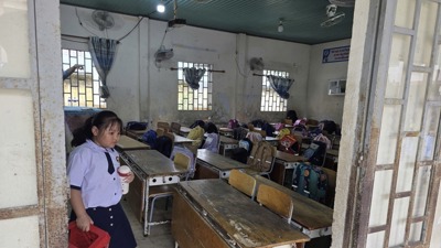 TP. Hồ Chí Minh: 125 cơ sở giáo dục có các hạng mục công trình xuống cấp nghiêm trọng
