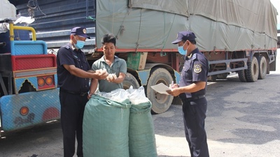 Đồng Tháp: Thu ngân sách tăng hơn 12%