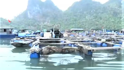 Quảng Ninh: Điểm sáng thu hút đầu tư vào nông nghiệp công nghệ cao