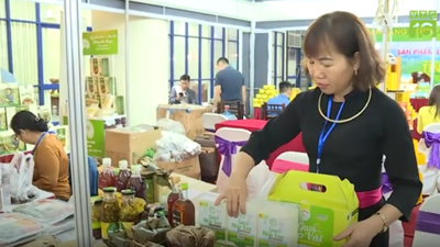 Chương trình OCOP: Động lực thúc đẩy phát triển kinh tế nông thôn đa giá trị