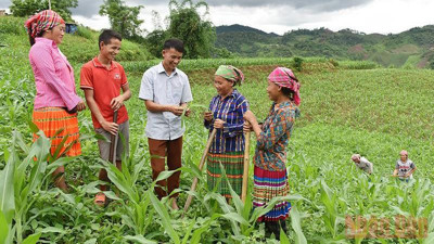 Đưa việc làm vào chuẩn nghèo: Bước ngoặt cho chính sách an sinh bền vững