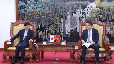 Doanh nghiệp tỉnh Gunma (Nhật Bản) tìm kiếm cơ hội đầu tư mới tại Việt Nam