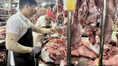 Đảm bảo truy xuất nguồn gốc qua sàn giao dịch thịt lợn đầu tiên