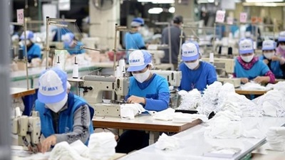 Thống kê lao động Việt Nam: Từ hiện đại hóa đến hội nhập toàn cầu