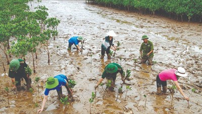 Chủ động phòng ngừa, kiểm soát tác động của biến đổi khí hậu