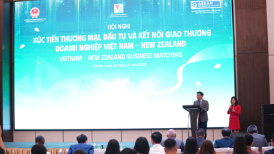 Cầu nối thúc đẩy hợp tác thương mại Việt Nam - New Zealand Cầu nối thúc đẩy hợp tác thương mại Việt Nam - New Zealand