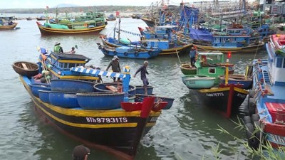 Đề xuất hỗ trợ người dân đặc khu Phú Quý (Lâm Đồng) tham gia BHXH tự nguyện Đề xuất hỗ trợ người dân đặc khu Phú Quý (Lâm Đồng) tham gia BHXH tự nguyện