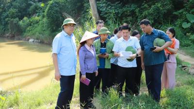 Thái Nguyên: Chuyển biến mạnh mẽ trong công tác giảm nghèo bền vững Thái Nguyên: Chuyển biến mạnh mẽ trong công tác giảm nghèo bền vững