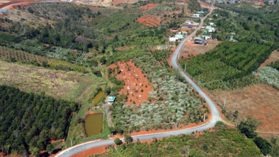 Lâm Đồng: Thay da, đổi thịt nhờ chương trình mục tiêu quốc gia 1719  Lâm Đồng: Thay da, đổi thịt nhờ chương trình mục tiêu quốc gia 1719