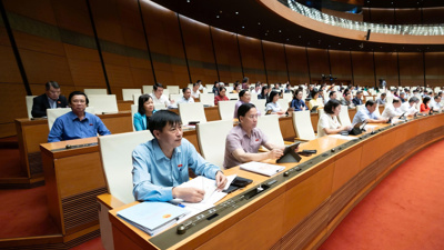 Để doanh nghiệp tư nhân “bơi theo đàn”, tham gia sâu vào chuỗi giá trị toàn cầu Để doanh nghiệp tư nhân “bơi theo đàn”, tham gia sâu vào chuỗi giá trị toàn cầu