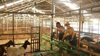 Điện Biên đẩy mạnh giảm nghèo, đảm bảo an sinh xã hội Điện Biên đẩy mạnh giảm nghèo, đảm bảo an sinh xã hội