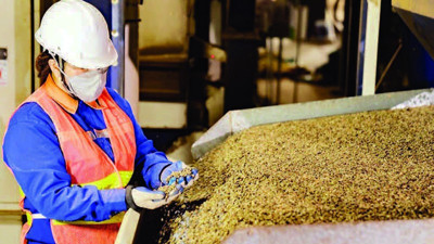 Xuất khẩu cà phê đạt kỷ lục 8,4 tỷ USD Xuất khẩu cà phê đạt kỷ lục 8,4 tỷ USD