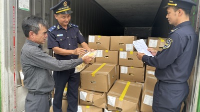 Những mặt hàng nào tác động tích cực đến số thu ngân sách của TP. Hồ Chí Minh?