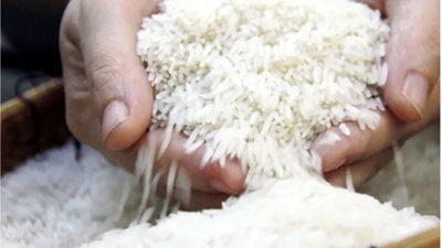 Việt Nam và Singapore tăng cường hợp tác xuất khẩu gạo