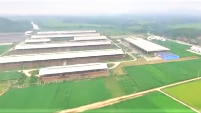 Thanh Hóa hiện thực hóa mục tiêu đi đầu nông nghiệp xanh, đa giá trị Thanh Hóa hiện thực hóa mục tiêu đi đầu nông nghiệp xanh, đa giá trị