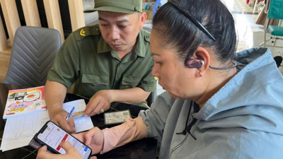 TP. Hồ Chí Minh: Cơ sở dữ liệu đất đai còn nhiều thông tin sai lệch, thiếu đồng bộ TP. Hồ Chí Minh: Cơ sở dữ liệu đất đai còn nhiều thông tin sai lệch, thiếu đồng bộ