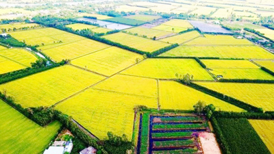 Nông nghiệp phát thải thấp - Trụ cột trong tiến trình chuyển đổi xanh Nông nghiệp phát thải thấp - Trụ cột trong tiến trình chuyển đổi xanh