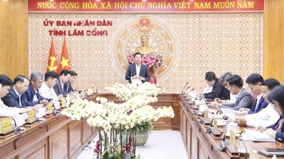 Lâm Đồng: Tổng thu ngân sách 10 tháng đạt 96% dự toán Trung ương