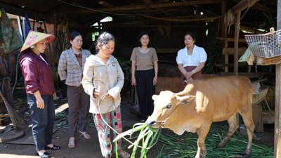 Nguồn lực ưu tiên cho mục tiêu giảm nghèo bền vững Nguồn lực ưu tiên cho mục tiêu giảm nghèo bền vững