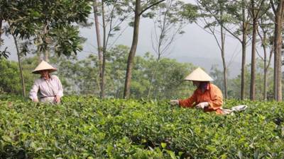 Định vị giai đoạn chuyển đổi: Từ thoát nghèo sang mô hình tăng trưởng dựa trên sáng tạo Định vị giai đoạn chuyển đổi: Từ thoát nghèo sang mô hình tăng trưởng dựa trên sáng tạo