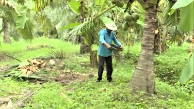 Vĩnh Long: 73.600ha sản xuất hữu cơ, ứng dụng công nghệ cao Vĩnh Long: 73.600ha sản xuất hữu cơ, ứng dụng công nghệ cao