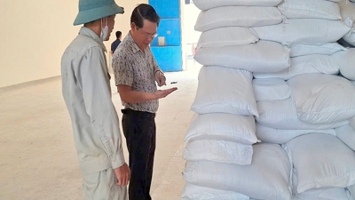 Hỗ trợ 5.000 tấn gạo dự trữ quốc gia cho người dân tỉnh Quảng Ngãi 