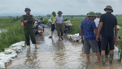 Hà Nội đẩy nhanh giải ngân vốn đầu tư công lĩnh vực nông nghiệp