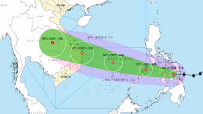 Các Chi cục Dự trữ Nhà nước sẵn ứng phó với cơn bão số 13 Các Chi cục Dự trữ Nhà nước sẵn ứng phó với cơn bão số 13