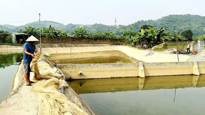 Tái thiết sản xuất thủy sản phù hợp với từng vùng miền, hộ nuôi trồng theo hướng bền vững Tái thiết sản xuất thủy sản phù hợp với từng vùng miền, hộ nuôi trồng theo hướng bền vững