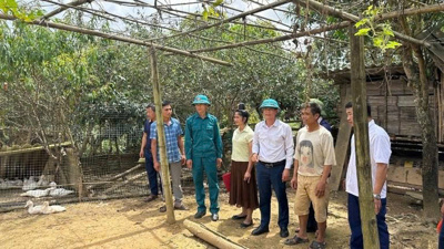 Kinh tế - xã hội đồng bào dân tộc thiểu số tỉnh Điện Biên chuyển mình rõ nét Kinh tế - xã hội đồng bào dân tộc thiểu số tỉnh Điện Biên chuyển mình rõ nét